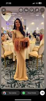 Phoenix Dress
