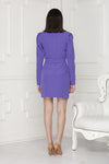 Mini Luxe Dress back purple colour.