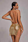 Emrata Mesh Dress