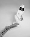 Aniela Classic dress