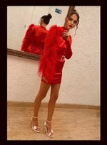 Nadine Feathers Dress
