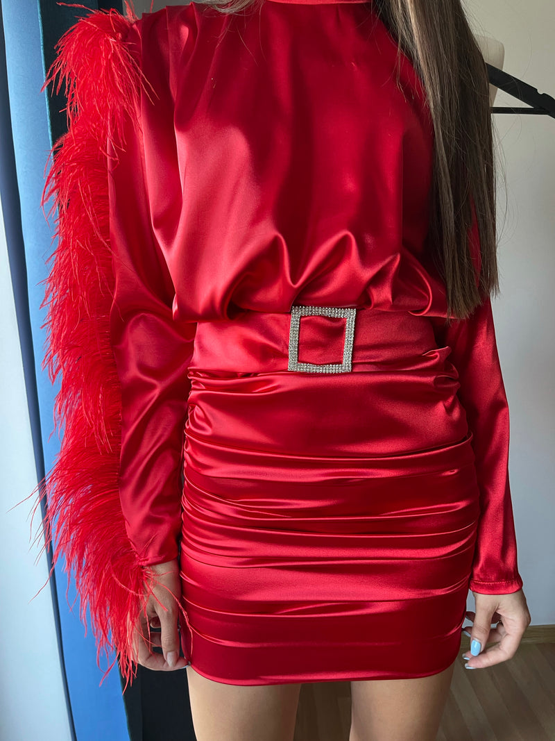 Nadine Feathers Dress