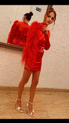 Nadine Feathers Dress